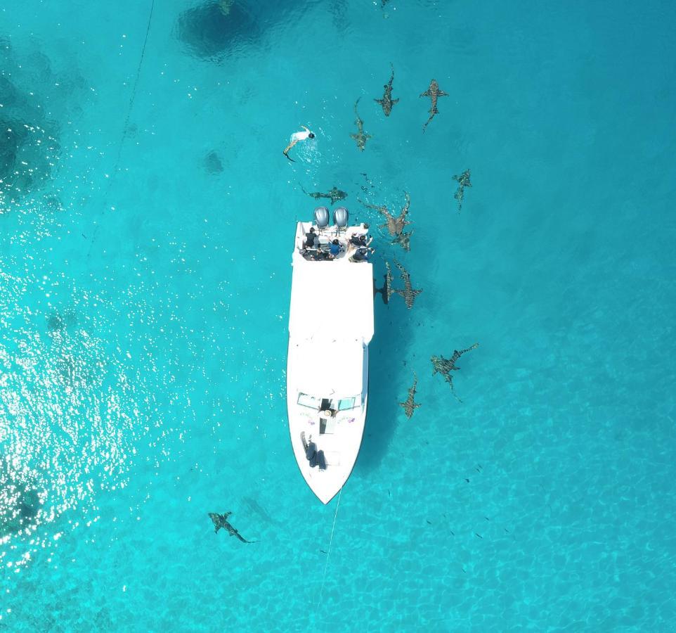 Ecoboo Maldives Hotel Thinadhoo  Exterior foto